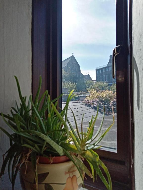 Townhouse Wexford别墅 外观 照片